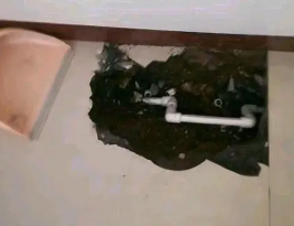 济阳卫生间测漏水多少钱